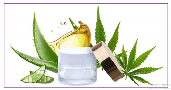 Crema Facial Cannabis CBD Bio